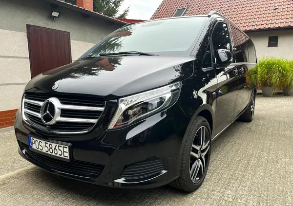 wielkopolskie Mercedes-Benz Klasa V cena 185899 przebieg: 144000, rok produkcji 2017 z Międzybórz